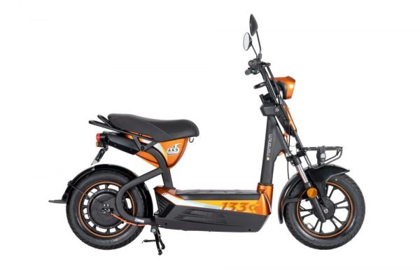 XE ĐIỆN GIANT 2022 ELEM 133S (5 BÌNH)