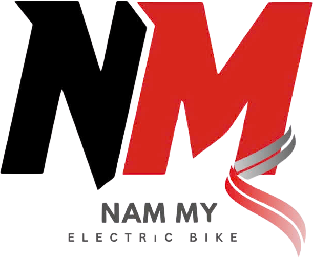XE ĐIỆN NAM MỸ